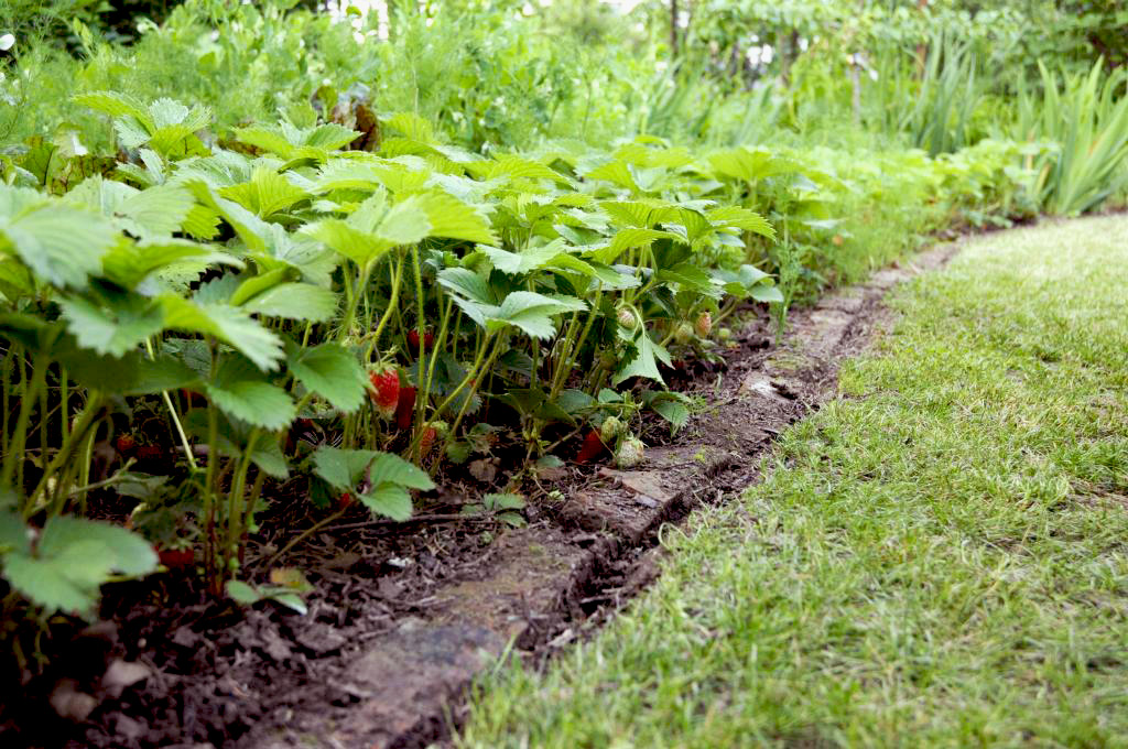 KAnna - Přírodní a užitkové zahrady 110